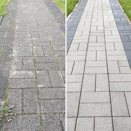 terkotisztitas_gal04