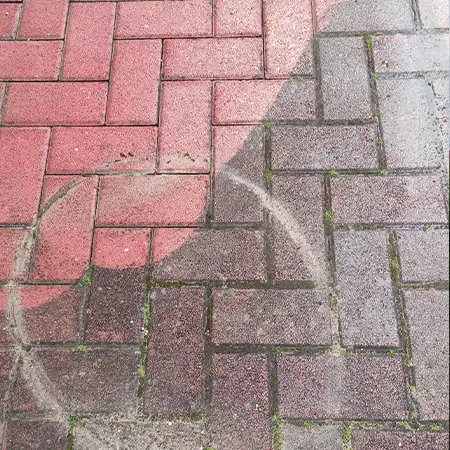 terko_tisztitas_gal07